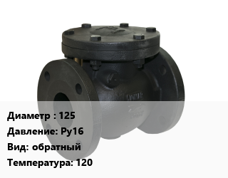 Клапан чугунный 125 Ру16 обратный 120, IDRA, вода, шт цена от 2555 Тг / шт, где купить, условия доставки в Костанае и Костанайской области
